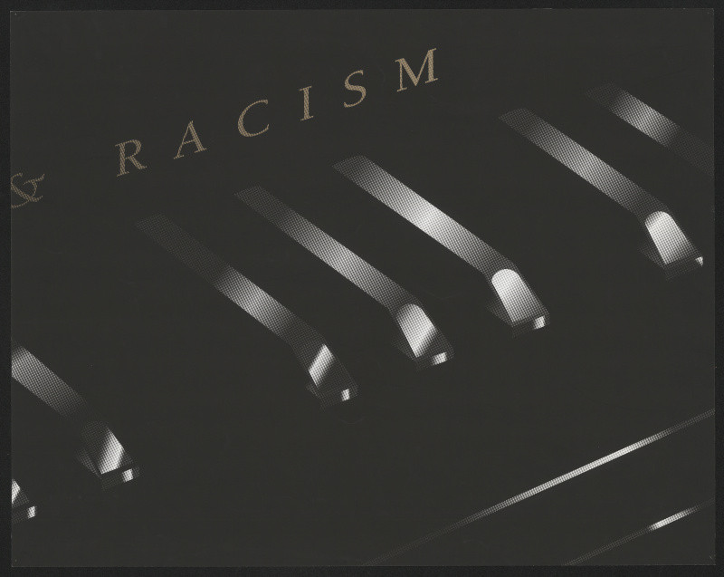 Čedomir Kostovič - Racism