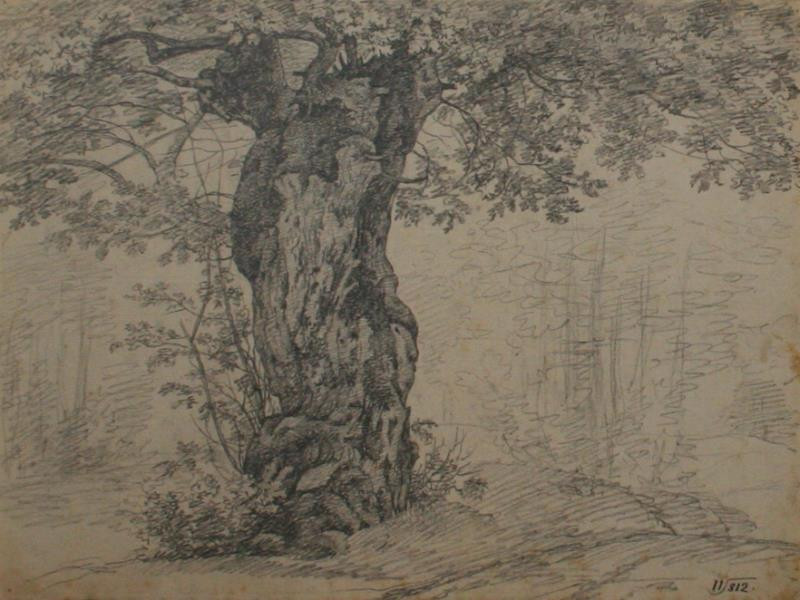 Johann Nepomuk Schödlberger (Schödelberger) - Starý strom