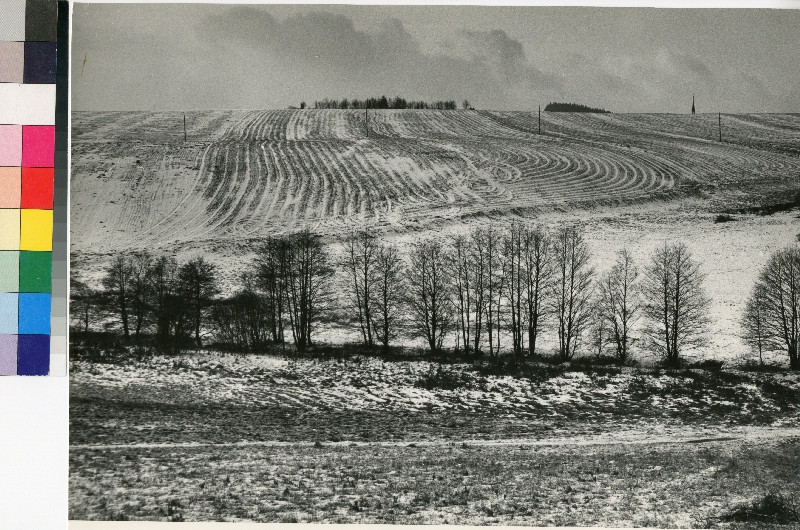 Jaroslav Němec - Předjaří (nad Rýmařovem)