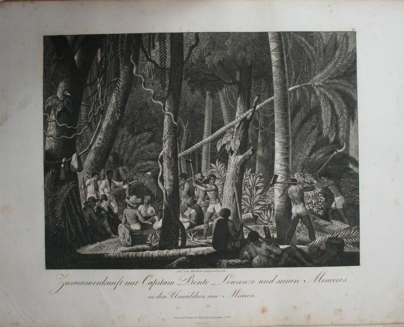 neznámý grafik - Reise des Prinzen v. Neuvied nach Brasilien 1815-1817